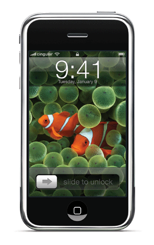 clown fish wallpaper iphone 5